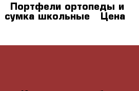 Портфели-ортопеды и сумка школьные › Цена ­ 700 - Кемеровская обл. Другое » Продам   . Кемеровская обл.